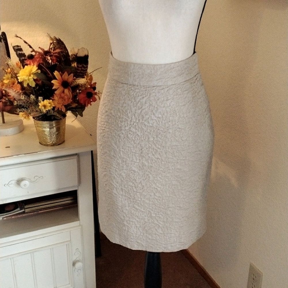 Banana Republic Sparkly Brocade